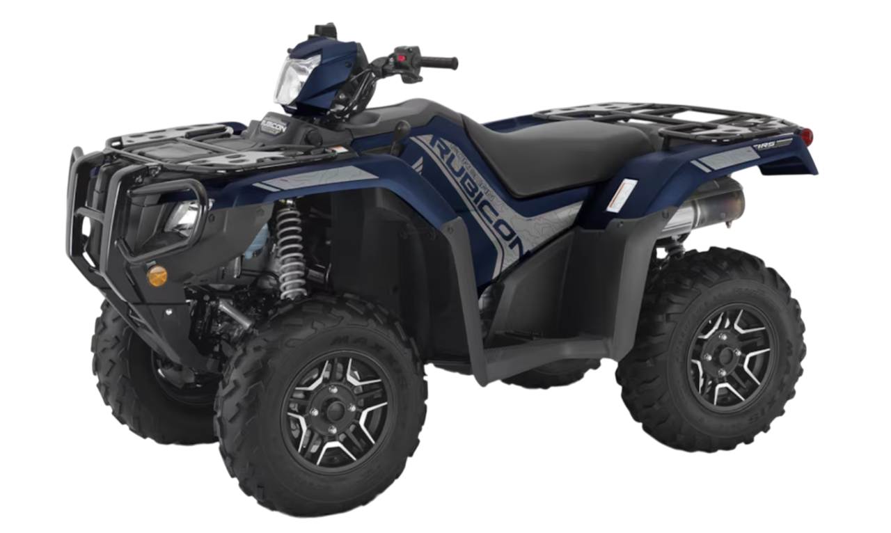 Model Image